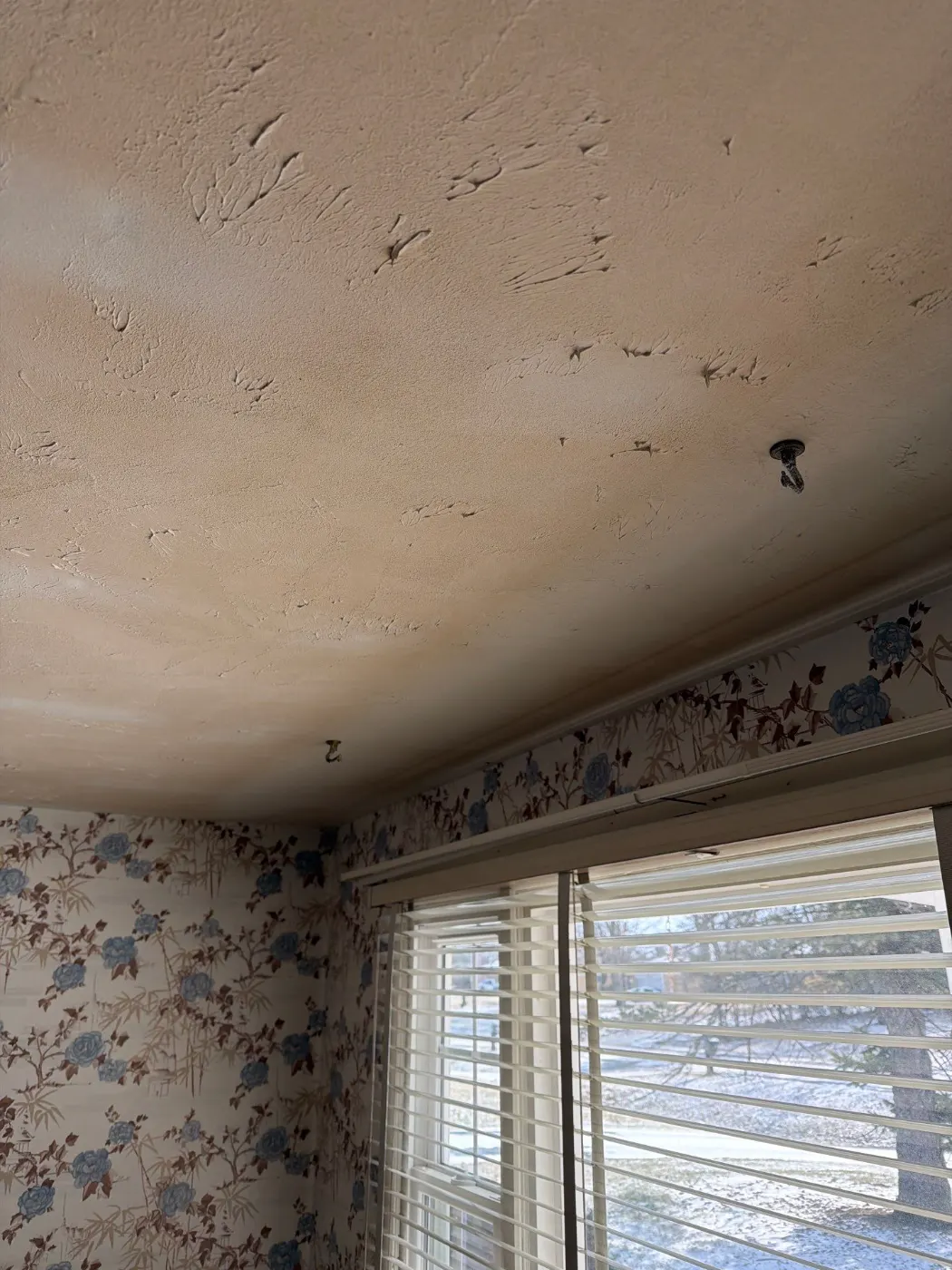 Thermal imaging during water damage assessment in Maple Glen residence